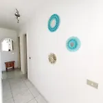 Azul Window 圣米格尔德阿沃纳